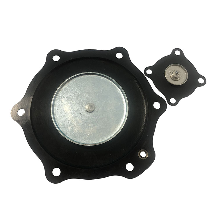 2 Inch Diaphragm Repair Kit