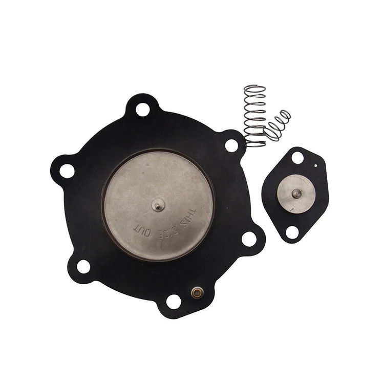 Industrial Diaphragm Replacement Kit for Pulse Jet Valve